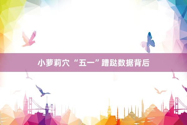 小萝莉穴 “五一”蹧跶数据背后