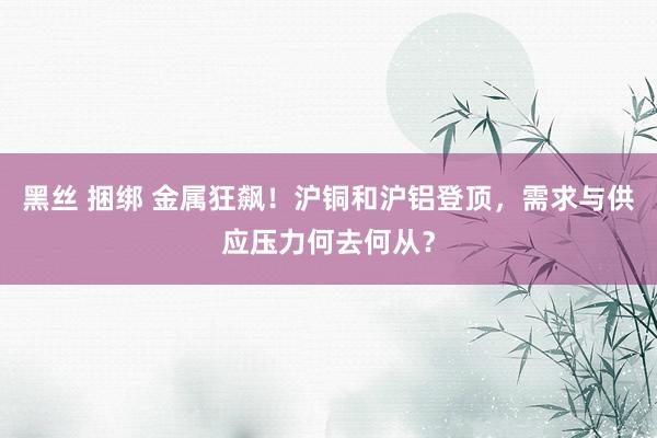 黑丝 捆绑 金属狂飙！沪铜和沪铝登顶，需求与供应压力何去何从？