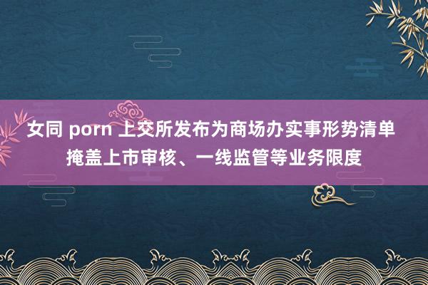 女同 porn 上交所发布为商场办实事形势清单 掩盖上市审核、一线监管等业务限度