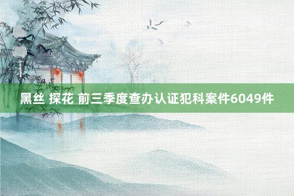 黑丝 探花 前三季度查办认证犯科案件6049件