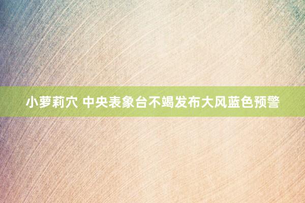 小萝莉穴 中央表象台不竭发布大风蓝色预警