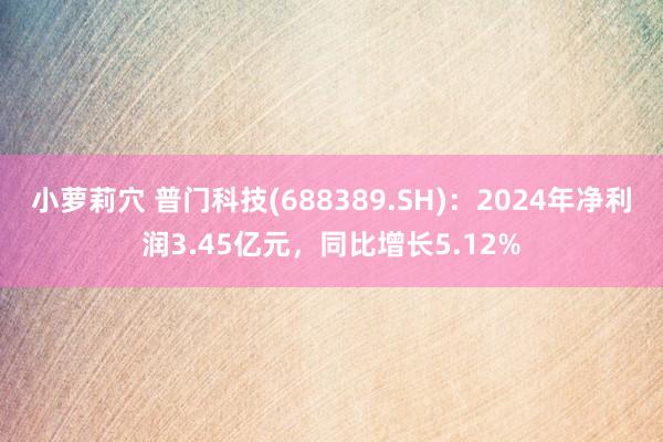 小萝莉穴 普门科技(688389.SH)：2024年净利润3.45亿元，同比增长5.12%