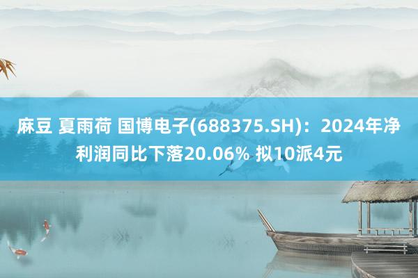 麻豆 夏雨荷 国博电子(688375.SH)：2024年净利润同比下落20.06% 拟10派4元
